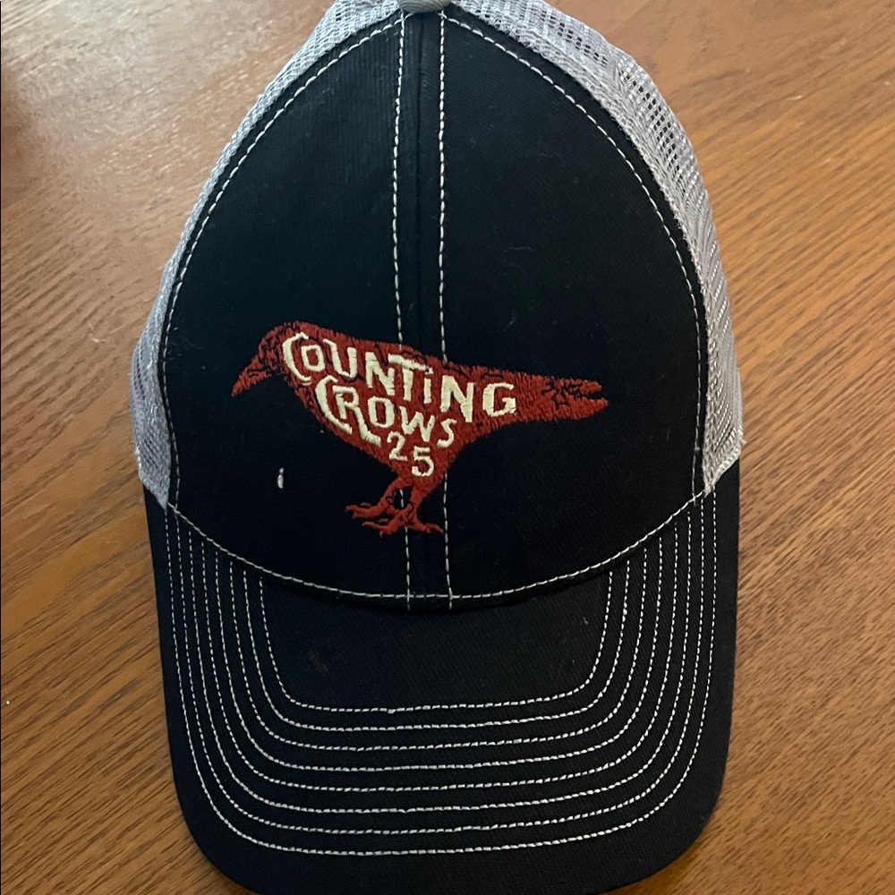 Counting crows 25 mesh cap